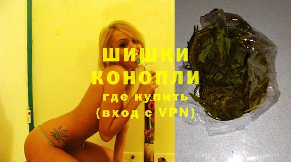 ГАЛЛЮЦИНОГЕННЫЕ ГРИБЫ Лиски