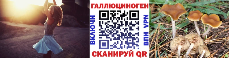 Галлюциногенные грибы Psilocybe  Первомайск 
